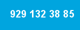 929 132 38 85 929 132 38 85